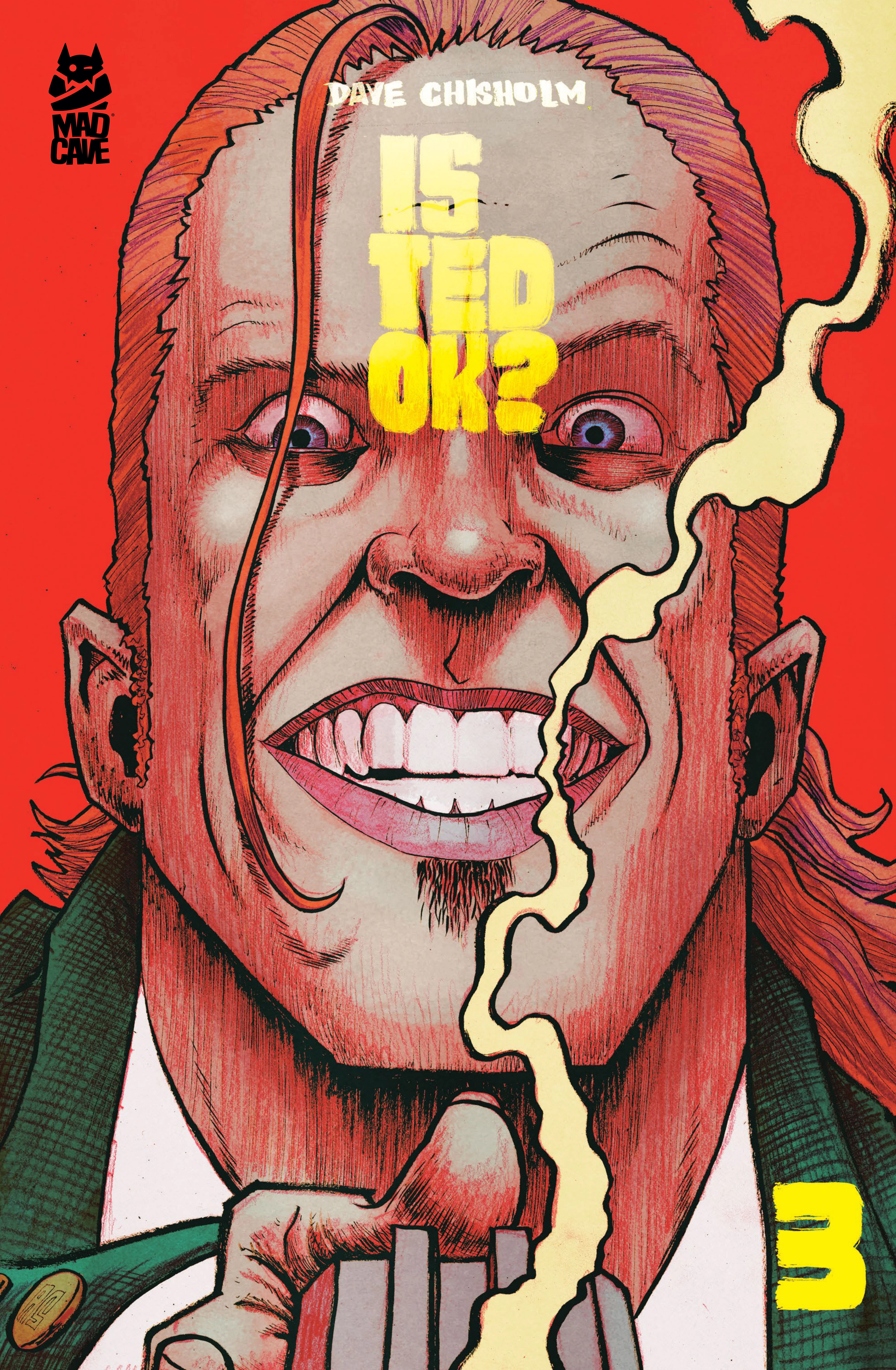 Is Ted OK? #3 (Mad Cave Studios, 2026) cover